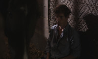 What My Love Is For Movie Still 8