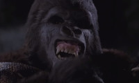 King Kong Movie Still 1