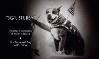 Sgt. Stubby: An American Hero Movie Still 8