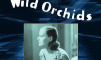 Wild Orchids Movie Still 1