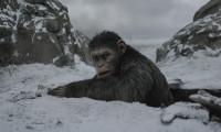 War for the Planet of the Apes Movie Still 8