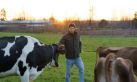 Love in the Forecast Movie Still 8