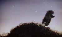 Hedgehog in the Fog Movie Still 4
