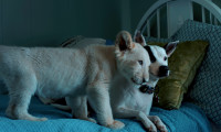 Lena and Snowball Movie Still 2