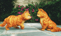 Garfield: A Tail of Two Kitties Movie Still 1