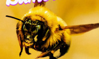 The Last Bumblebee Movie Still 3