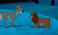 Lady and the Tramp Movie Still 2