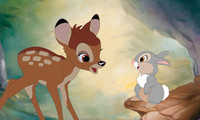 Bambi Movie Still 5