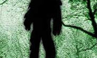 Curse of Bigfoot Movie Still 3