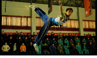 Jackie Chan Presents: Wushu Movie Still 5