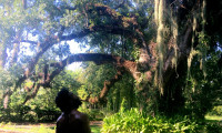 Bayou Ghost Story Movie Still 7