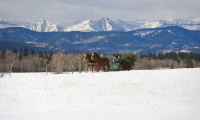 A Heartland Christmas Movie Still 4