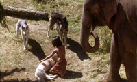The Jungle Book: Mowgli's Story Movie Still 5