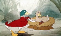 The Ugly Duckling Movie Still 7