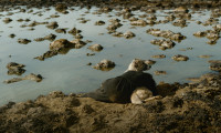 Sermon to the Fish Movie Still 3