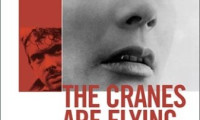 The Cranes Are Flying Movie Still 7