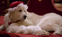 Santa Paws 2: The Santa Pups Movie Still 4