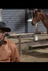 Black Eagle of Santa Fe Poster 1