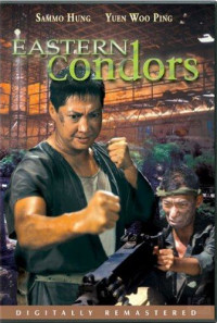 Eastern Condors Poster 1