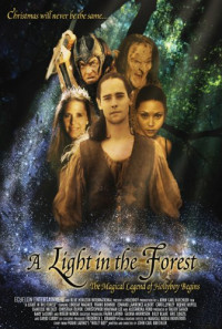 A Light in the Forest Poster 1