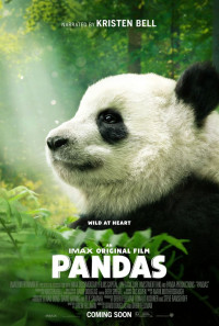 Pandas Poster 1