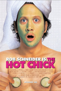 The Hot Chick Poster 1