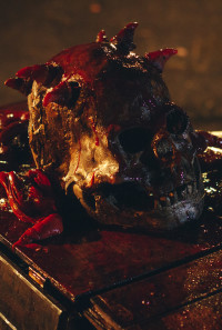 Skull: The Mask Poster 1