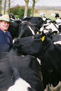 The Moo Man Poster 1