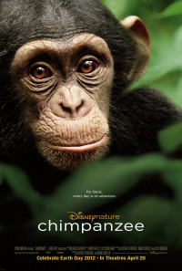 Chimpanzee Poster 1