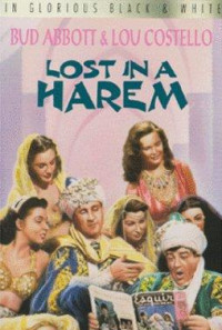 Lost in a Harem Poster 1