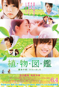 Evergreen Love Poster 1