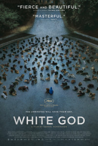 White God Poster 1