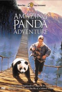 The Amazing Panda Adventure Poster 1