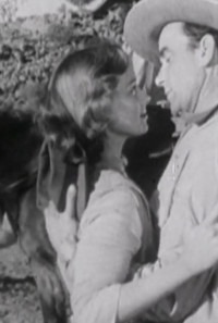 The Phantom Stockman Poster 1