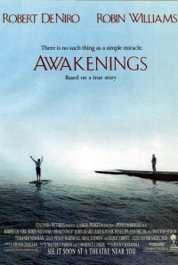 Awakenings Poster 1